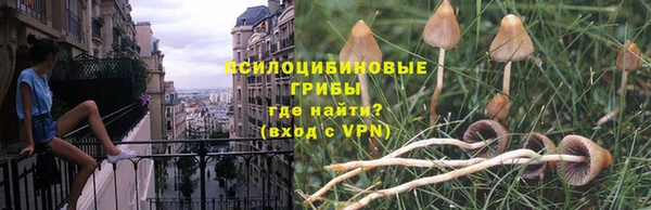 трава Волоколамск