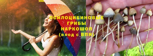 ешки Волосово