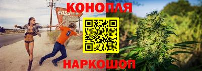 не бодяженный Гай