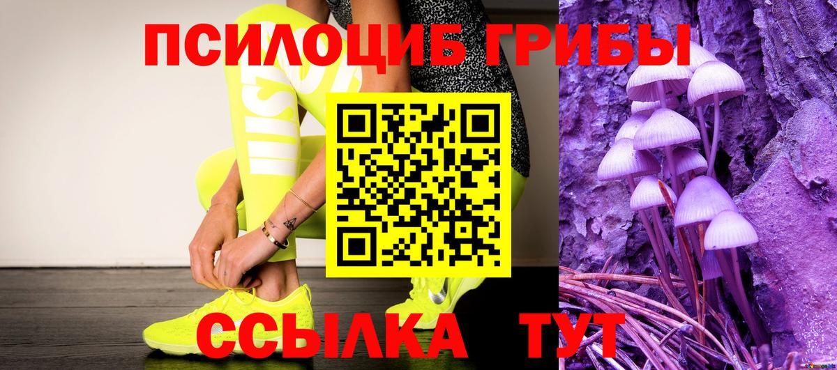 Галлюциногенные грибы Cubensis  Псилоцибиновые грибы прущие грибы  Вход с VPN  Назарово 