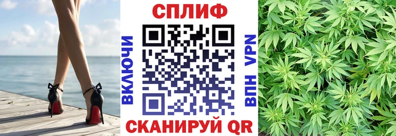 Канабис OG Kush Назарово