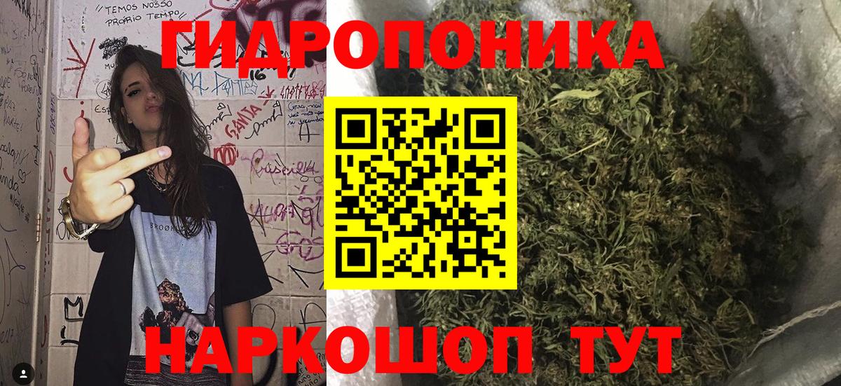 Бошки Шишки семена  Конопля ГИДРОПОН  Назарово  Каннабис ГИДРОПОН  Вход с VPN 